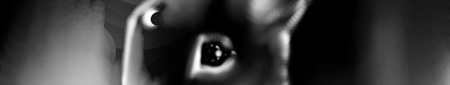 Themoonbunny.